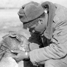 Александр, г. Тольятти