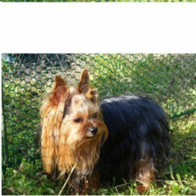 Михаил, г. Санкт-Петербург