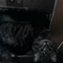 Кристина, г. Выкса