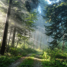 Александр, г. Москва