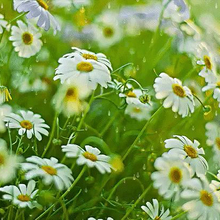 Ирина, г. Москва