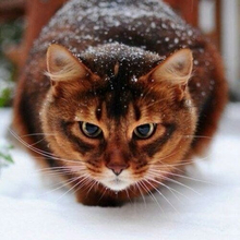 Надежда, г. Липецк