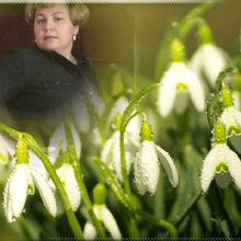 ОКСАНА, г. Чита