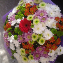 Адвокат Сергеева Мария Валерьевна, г. Новосибирск