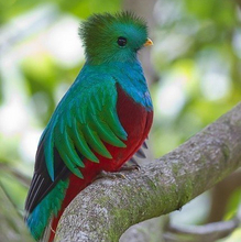 Татьяна, г. Клин