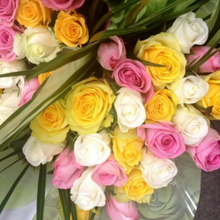 Гость_203500, г. Хабаровск