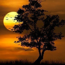 Олеся, г. Мытищи