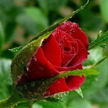 ТАТЬЯНА, г. Красноярск