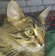 Наталья, г. Казань