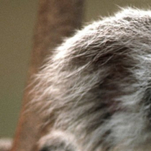 Марина, г. Москва