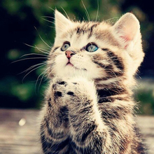 Алина Евгеньевна, г. Москва