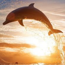 Лилия Николаевна, г. Севастополь