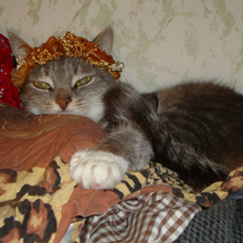 Вера Чихалина, г. Тверь