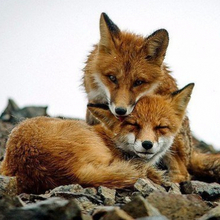 Алексей, г. Осинники