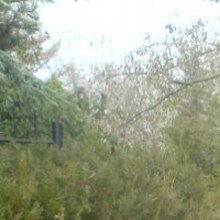 Андрей, г. Краснодар