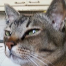 A24kirill, г. Санкт-Петербург