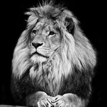 Сергей., г. Йошкар-Ола