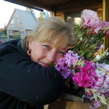 Гость_4375937, г. Архангельск