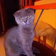 Ольга, г. Владивосток