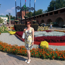 Юрист Баширова Найля Хайдарьевна, г. Нижний Новгород