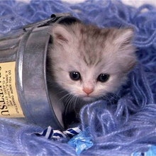 Гость, г. Челябинск