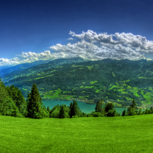 Лукьянова Ирина Олеговна