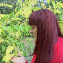  Чернышова Юлия Владимировна, г. Краснодар