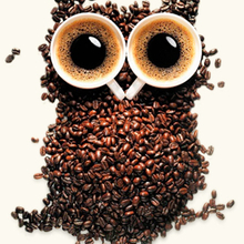 Александр, г. Кемерово