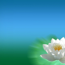 Неля Хоним, г. Нижневартовск