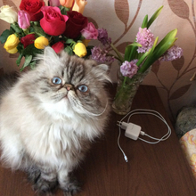 Светлана, г. Североморск