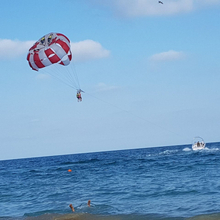 Елизавета, г. Красноярск