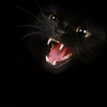 Олег, г. Воркута