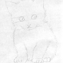 Владимир, г. Мытищи