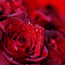 Гость_6447302, г. Москва