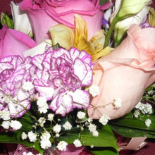 СветЛана Кравцова, г. Камышин