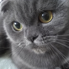 Геннадий, г. Владимир