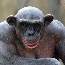 Demid, г. Самара