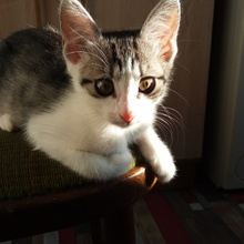 Ольга, г. Москва