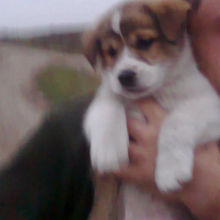 Степан, г. Москва