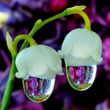 Гость_6483946, г. Калининград