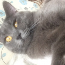 Анна, г. Самара