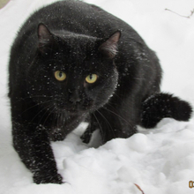 Татьяна, г. Чита