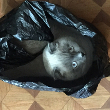 Михаил, г. Ростов-на-Дону