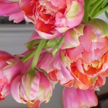 Анна, г. Великий Новгород