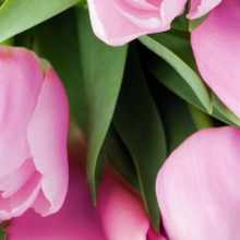 Юлия, г. Первомайское