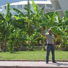 Вячеслав Тюмень, г. Тюмень