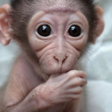 Евгений, г. Тверь