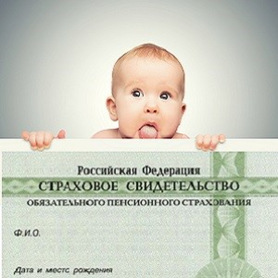 Как получить бумажный снилс на новорожденного ребенка. Снилс ребенка. снилс для новорожденного. как выглядит снилс ребенка. снилс и полис для новорожденного.