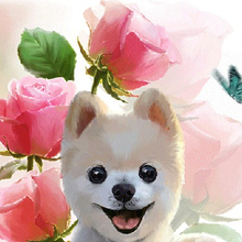 Вусал, г. Хабаровск