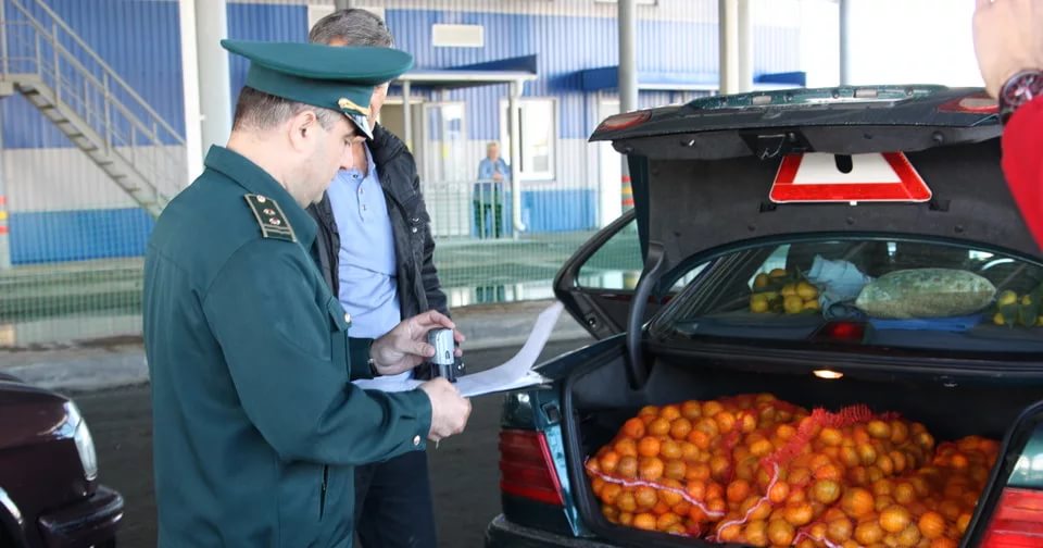 Фитосанитарный контроль на таможне. Досмотр на границе. Государственный карантинный фитосанитарный контроль. Ветеринарный контроль на границе.